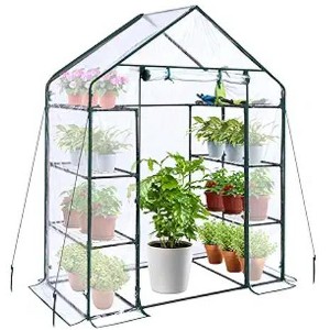 Outdoor Gardening Greenhouse, 56.3x56.3x76.77 Inch 6 Shelf Walk in, Heavy Duty Metal Frame,PE Cover, Roll Up Door, All Season Plant House - 1 of 2
