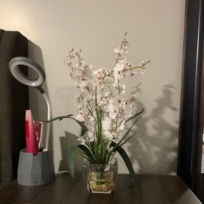 Guest review image 2 of 2, zoom in