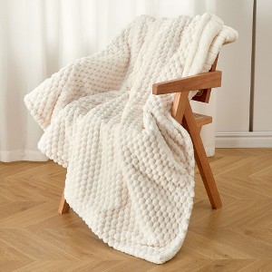 Heated Blanket, Cozy Soft Flannel Electric Blanket, Fast Heating with Multiple Heating Levels & Auto Off, Machine Washable, Warm Gift for Winter - 1 of 4