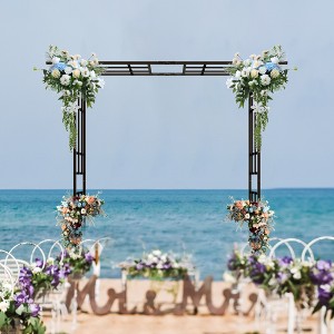 Dolonm Metal Garden Arch with Gate Climbing Plants Support Rose Arch Outdoor Black - 1 of 4