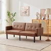 Futon Sofa Bed, Compact Loveseat, Modern Mid-Century Sleeper Sofa, Convertible Couch, Living Room Couches - 2 of 4
