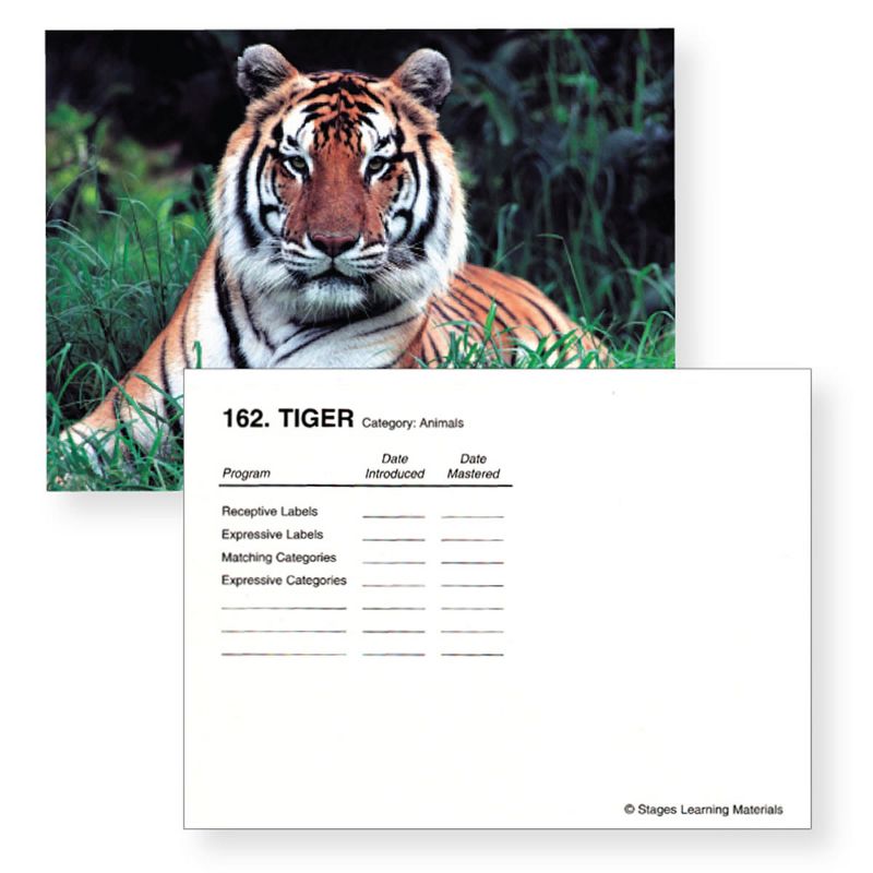Stages Learning Materials Language Builder Photo Cards - Picture Nouns - 350 Pieces, 3 of 5