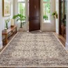 Washable Area Rugs for Living Room Bedroom Area Rug Boho Vintage Rugs Slip Low Pile Soft Lightweight Carpet Indoor - 4 of 4