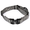 Country Brook Petz Heavyduty Nylon Martingale with Premium Buckle - 4 of 4