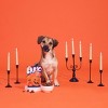 BARK Halloween Lick-O-Lantern Soft Baked Pumpkin Flavor Dog Treats - 4oz - 4 of 4