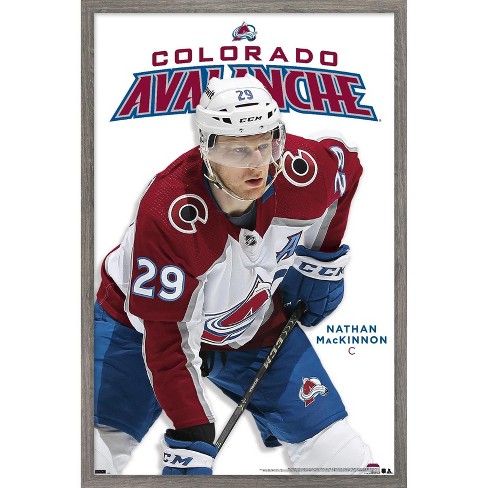 NHL Colorado Avalanche - 2022 Stanley Cup Champions Wall Poster with Push  Pins, 14.725 x 22.375 