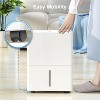 Zafro 2000 Sq.Ft. Dehumidifier for Home Bedrooms, 1.2Gal Water Tank With Smart Control, Timing Device For Medium Size Rooms, 25 Pints (White) - 4 of 4