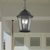 Livex Lighting Hamilton 3 - Light Pendant in  Textured Black - 2 of 4