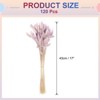 Unique Bargains Decorative Natural Dried Floral Bunny Tail Artificial Plants 120 Pcs - 2 of 4
