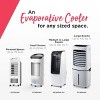 Frigidaire 2-in-1 Personal Evaporative Air Cooler and Fan, 250 CFM's with 3 Fan Speeds & Removable Water Tank - image 4 of 4