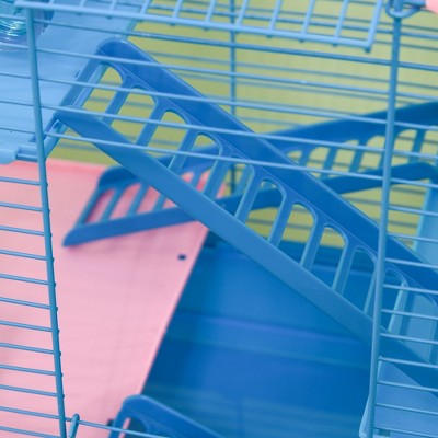 Blue Multi-Level Hamster Cage with Tubes and Accessories