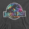 Jurassic Park Prehistoric Groove Adult Pull-Over Hoodie - 2 of 4