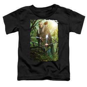Toddler Boys' The Lord Of The Rings Legolas T Shirt - 1 of 2