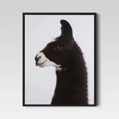 24"x30" Llama Framed Printed Wall Canvas - Threshold™