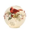 LED Frosted Cardinal Berry Globe (Set of 2) - 3 of 3