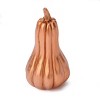 Resin Gourd - Bullseye's Playground™ - 2 of 3