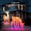 Twinkly Reindeers Doe, Mappable Outdoor LED Reindeer Light, 160 RGB LEDs and Warm White Light, Height 3ft, Compatible with Alexa and Google Home - 2 of 4