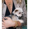 Diphda Jet Black Cactus Leather Dog Collar - 2 of 2