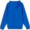 DC Legion of Super Pets Heroes Group Men's Royal Blue Hoodie - 3 of 3