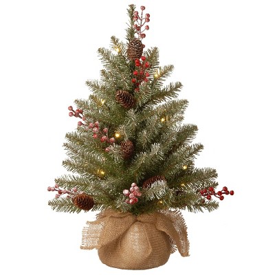 2ft National Christmas Tree Company Dunhill Fir Artificial Christmas Tree 15ct Warm White LED