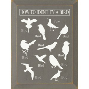 Slickblue Bird Guide Wooden Sign, Knotty Pine 9x12 Inch Wall Decor, Rustic Style, Color Options - 1 of 3