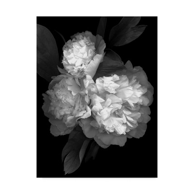 Black and White Floral Canvas Print with Frame, 24x32