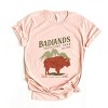 Simply Sage Market Badlands National Park Est. 1978 Short Sleeve Tee - 2 of 4