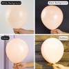 PartyWoo Balloons Pastel Orange Baby Pale Light Pink Peach 36 18 12 10 5 Inch 127 pcs - 3 of 4