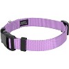 Country Brook Petz Deluxe Nylon Dog Collar and Leash - 2 of 4