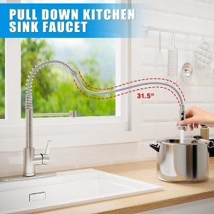 Kitchen Faucet - 1 of 4