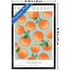Trends International Reinders: Fruit Market - Valencia Oranges Framed Wall Poster Prints - 3 of 4