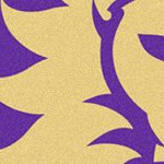 orlando city soccer club