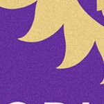 orlando city soccer club