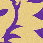 orlando city soccer club