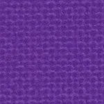 orlando city soccer club