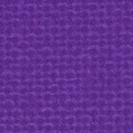 orlando city soccer club