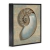 Stupell Industries Shell Beach Objects Design, 24" x 24" - 3 of 4