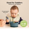 2-Pack Prep Baby Bowls with Suctions & Lids, Silicone Bowls for Baby Boy, Girl, Toddler Suction Bowl, Kids Bowl BPA-Free - 3 of 4