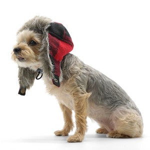 Dogo Pet Fashions Trapper Dog Hat - Red Plaid - 1 of 4