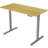 NicBex 48 Inch Electric Standing Desk,Adjustable Height Home Office Desk with Gray Metal Frame for Study Room,Bedroom and Office - 2 of 4