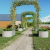 1 Set（2PCS Raised Garden Bed with Arch Trellis),Durable Steel Construction,  for Climbing Plants and Outdoor Gardening - 2 of 4