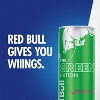 Red Bull Green Edition Energy Drink - 8.4 fl oz Can - 4 of 4