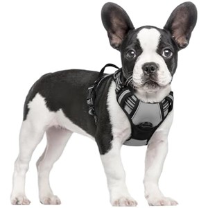 rabbitgoo Dog Harness No Pull with 2 Leash Clips, Control Handle for Small Dogs, Grey, S - 1 of 1