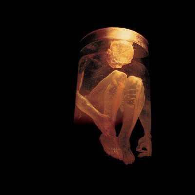 Alice In Chains - Nothing Safe: The Best of The Box (CD)