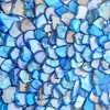 American Art Decor Seashell Wall Decor in Shadowbox Frame Blue - image 4 of 4