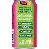 Evolution Fresh Organic Pineapple Dragon Fruit Real Fruit Soda - 12 fl oz - 2 of 4