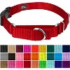 Country Brook Petz Heavy Duty Nylon Martingale Dog Collar with Deluxe Buckle - 30+ Vibrant Color Options - 2 of 4