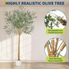 Olive Trees Artificial, 9FT Tall Faux Olive Tree w/White Tall Planter, Artificial Plants with Natural Wood Trunk & Lifelike Fruits for Home Office - 3 of 4