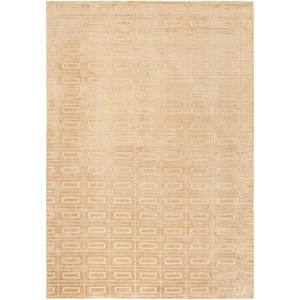 Mirage MIR523 Hand Loomed Indoor Rugs - Safavieh - 1 of 4