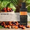 Dr.Healdy Batana Oil Shampoo: Fights hair loss, moisturizes, reduces breakage. Sulfate-free for all hair types. (6.8 Fl Oz) - 4 of 4